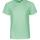 Dusty Mint
