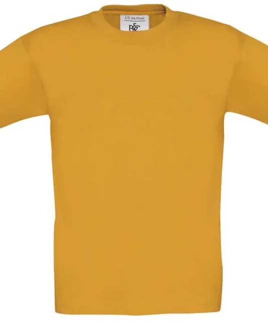 CG149 - Exact 150 Kids Apricot