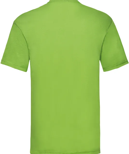 SC221 - Valueweight T (61-036-0) Lime