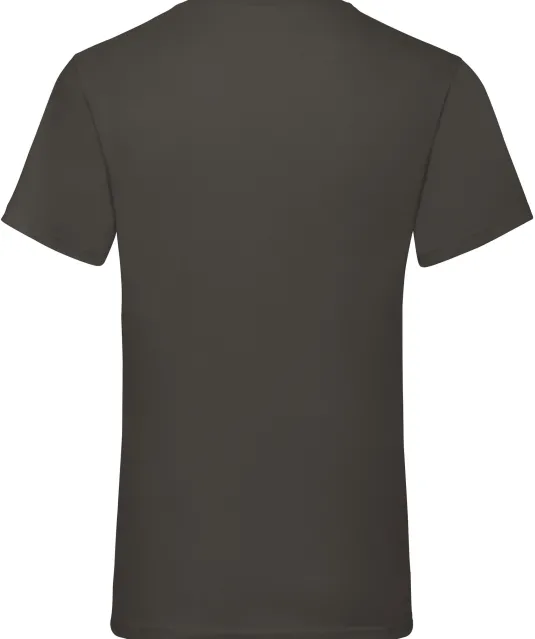 SC22V - Men's Valueweight V-neck T-shirt (61-066-0) Light Graphite