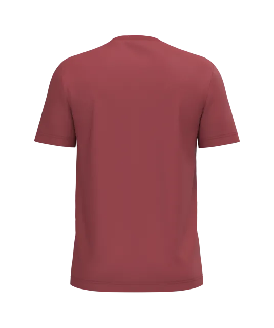 K3025IC - T-shirt BIO150IC ronde hals Terracotta Red