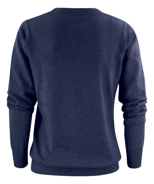 Ashland V  Gebreide Sweater Dames Blauw mêlée