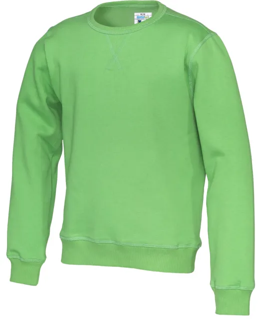 SWEATER CREW NECK KID - GOTS GECERTIFICEERD Groen