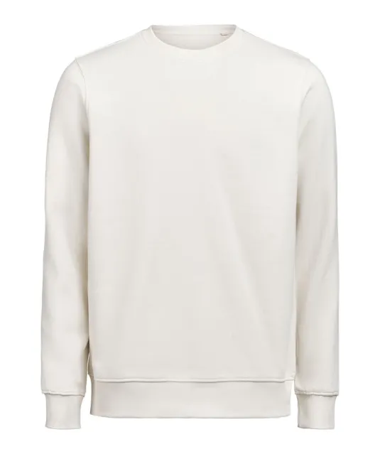 UM Crewneck (OCS-RCS)  Regular Fit Unisex Birch