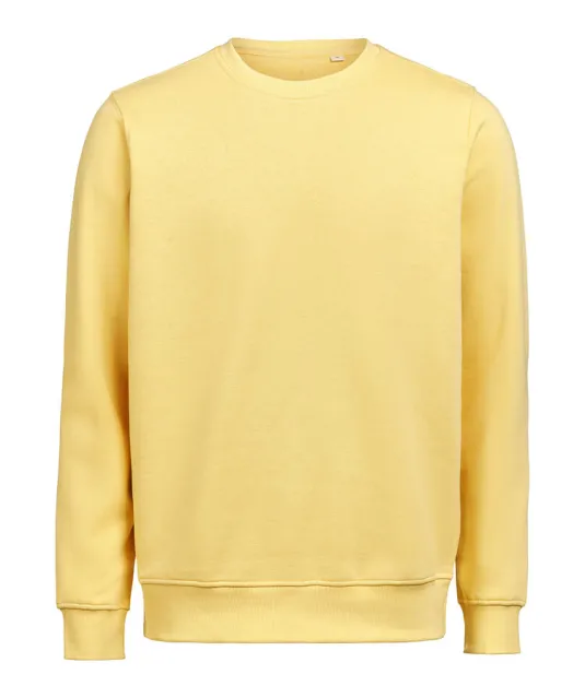UM Crewneck (OCS-RCS)  Regular Fit Unisex Ray