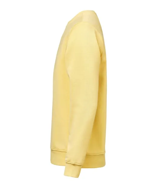 UM Crewneck (OCS-RCS)  Regular Fit Unisex Ray