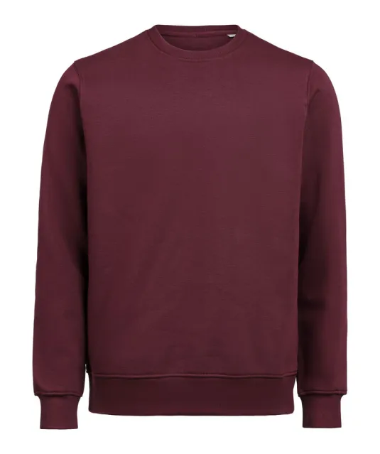 UM Crewneck (OCS-RCS)  Regular Fit Unisex Prune