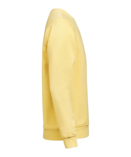 UM Crewneck (OCS-RCS)  Regular Fit Unisex Ray