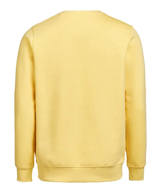 UM Crewneck (OCS-RCS)  Regular Fit Unisex Ray
