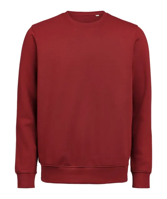 UM Crewneck (OCS-RCS)  Regular Fit Unisex Brick