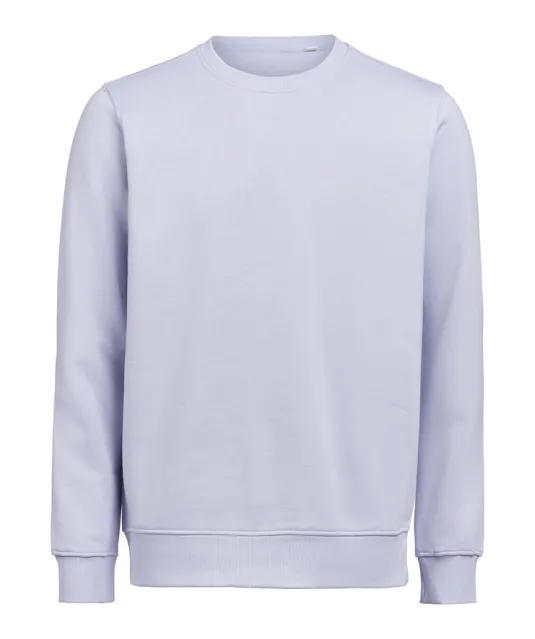UM Crewneck (OCS-RCS)  Regular Fit Unisex Aster