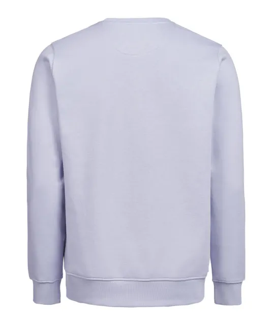 UM Crewneck (OCS-RCS)  Regular Fit Unisex Aster