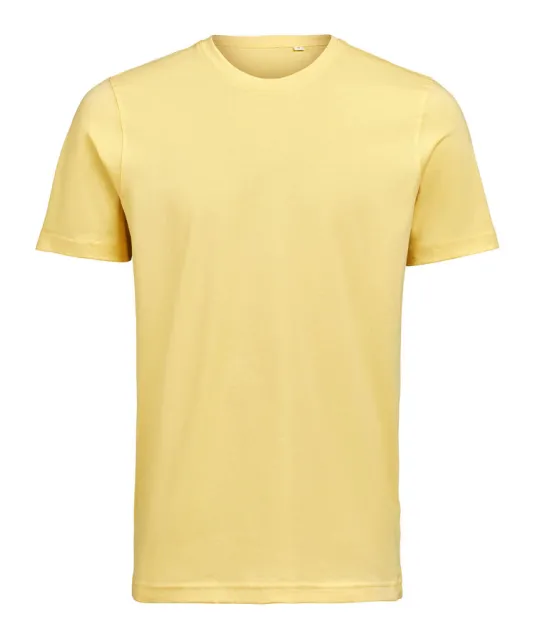 UM T-Shirt (OCS)  Regular Fit Unisex Ray