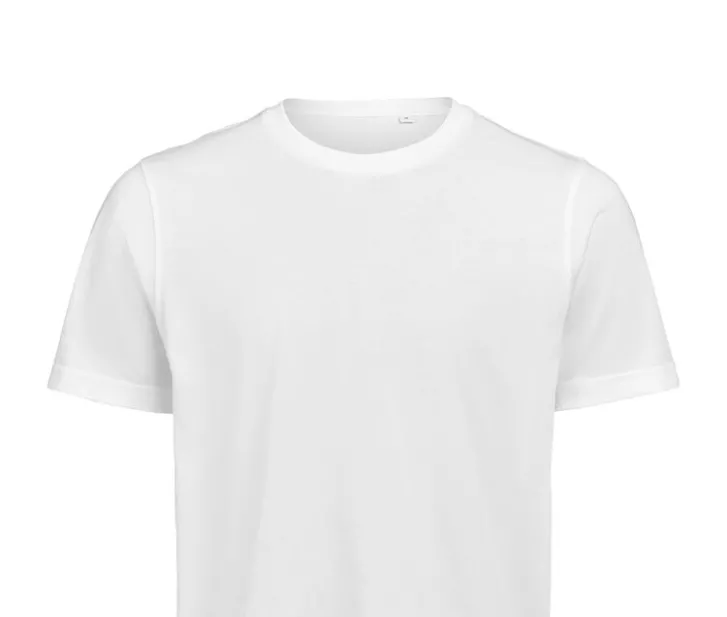 texet_707745.jpg