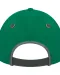 YTFC100 - Bump 5 panels Cap Green