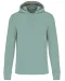 K4027 - Ecologische herensweater met capuchon Sage
