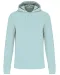 K4027 - Ecologische herensweater met capuchon Ice Mint