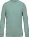 K480 - Herensweater BIO ronde hals raglanmouwen Sage