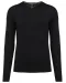 K980 - Ecologische herentrui met V-hals Black