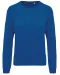 K481 - Damessweater BIO ronde hals raglanmouwen Ocean Blue Heather
