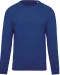 K480 - Herensweater BIO ronde hals raglanmouwen Ocean Blue Heather