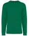 K474 - Sweater ronde hals Kelly Green