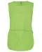 K822 - Damestabard Lime
