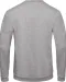 CGWUI23 - ID.202 Sweater ronde hals Heather Grey