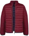 K6120 - Men's lightweight padded jacket Wine