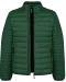 K6120 - Men's lightweight padded jacket Forest Green