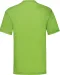 SC221 - Valueweight T (61-036-0) Lime