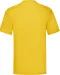 SC221 - Valueweight T (61-036-0) Sunflower