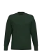 K488 - Sweater ronde hals Forest Green