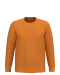 K474 - Sweater ronde hals Pumpkin