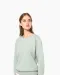 K481 - Damessweater BIO ronde hals raglanmouwen French Navy Heather