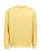 UM Crewneck (OCS-RCS)  Regular Fit Unisex Ray